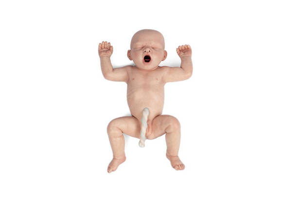Доношенный младенец Lifecast