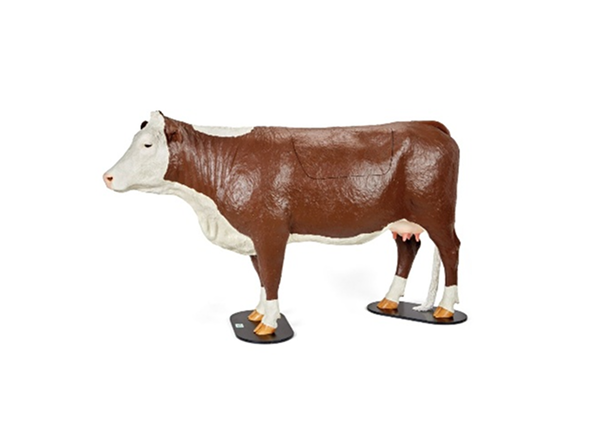 Симулятор дистоции Hereford, коричневый цвет